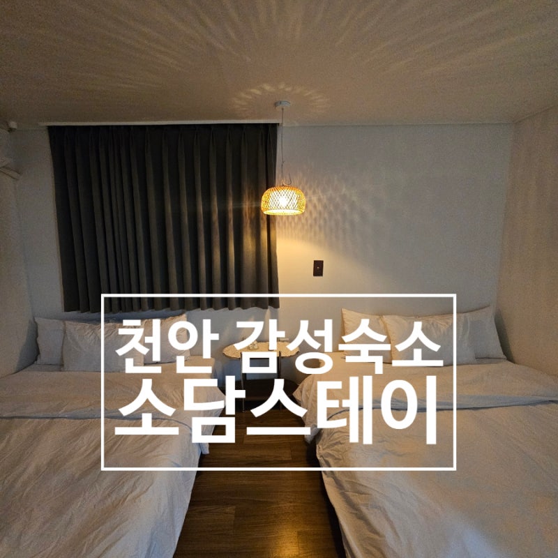 사진 6
