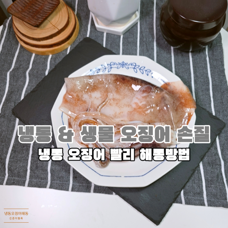 냉동 생물 오징어 손질 해동 방법