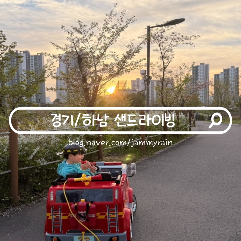 사진 6