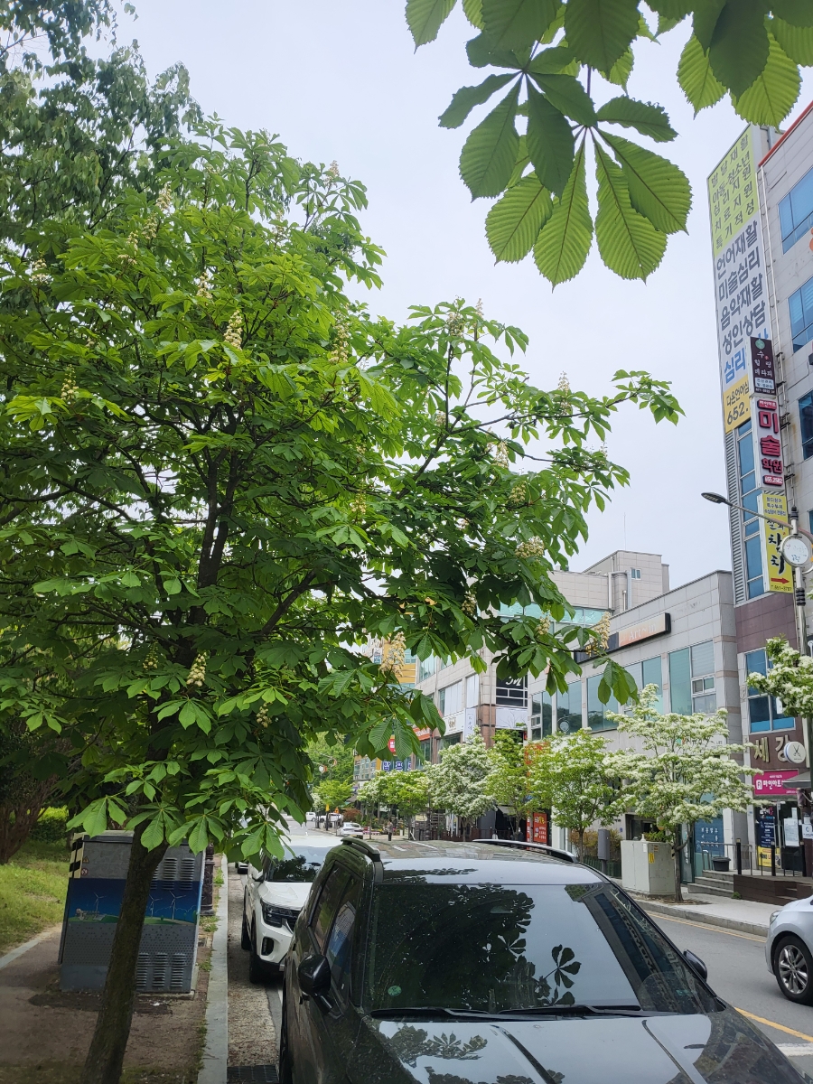 북촌순두부&쭈꾸미 광주노대점 사진 3
