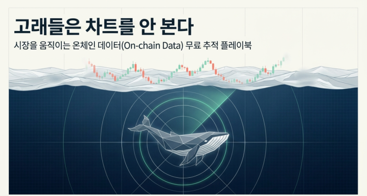  고래들은 차트를 안 본다? 무료로 세력 지갑(온체인 데이터) 추적하는 법
