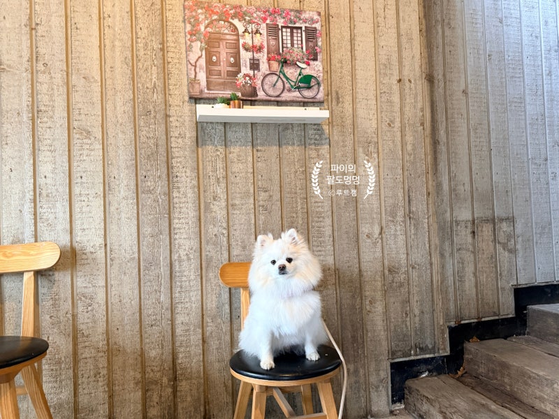 사진 8