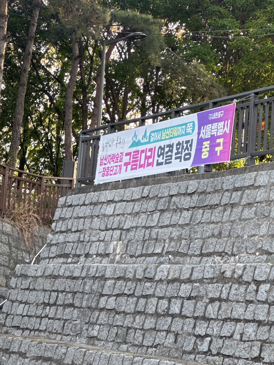 다프 사진 3