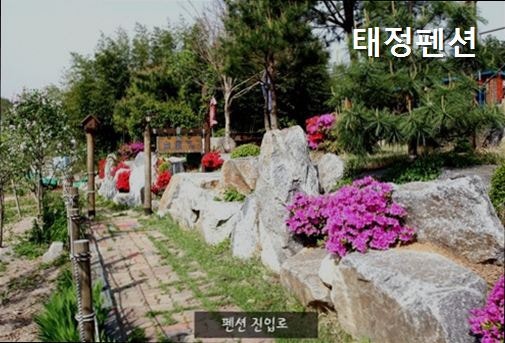 태정펜션 사진 1