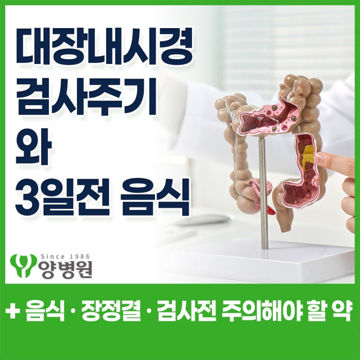  대장내시경 당일 검사 가능할까? – 음식·장정결·약 복용 기준 총정리 (나이별 검사주기까지)