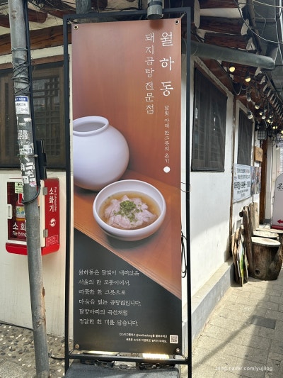 사진 8