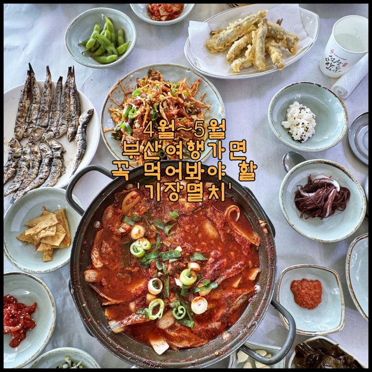  [부산] 4월~5월 부산여행가면 꼭 먹어봐야 할 '기장멸치'