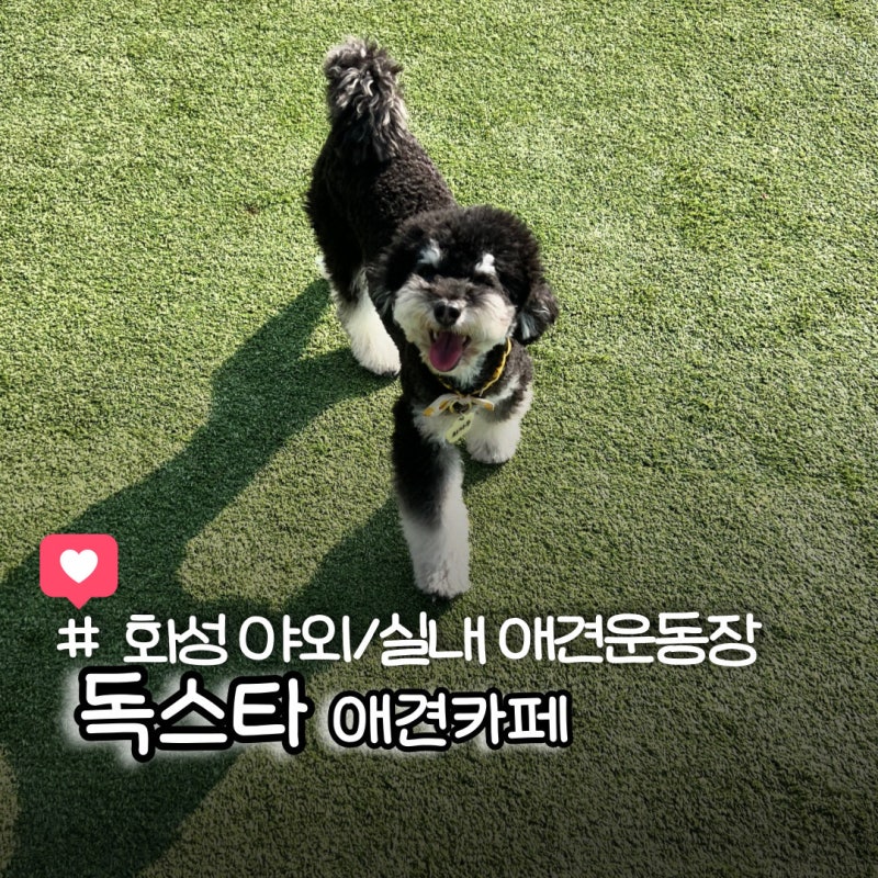 사진 4