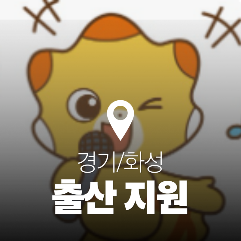 경기/화성 | 화성시 출산 지원/혜택 정리