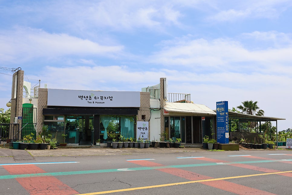 백년초박물관 사진