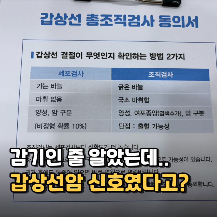 갑상선암 초기증상 목아픔, 단순 감기일까? 신호 놓치면 큰일