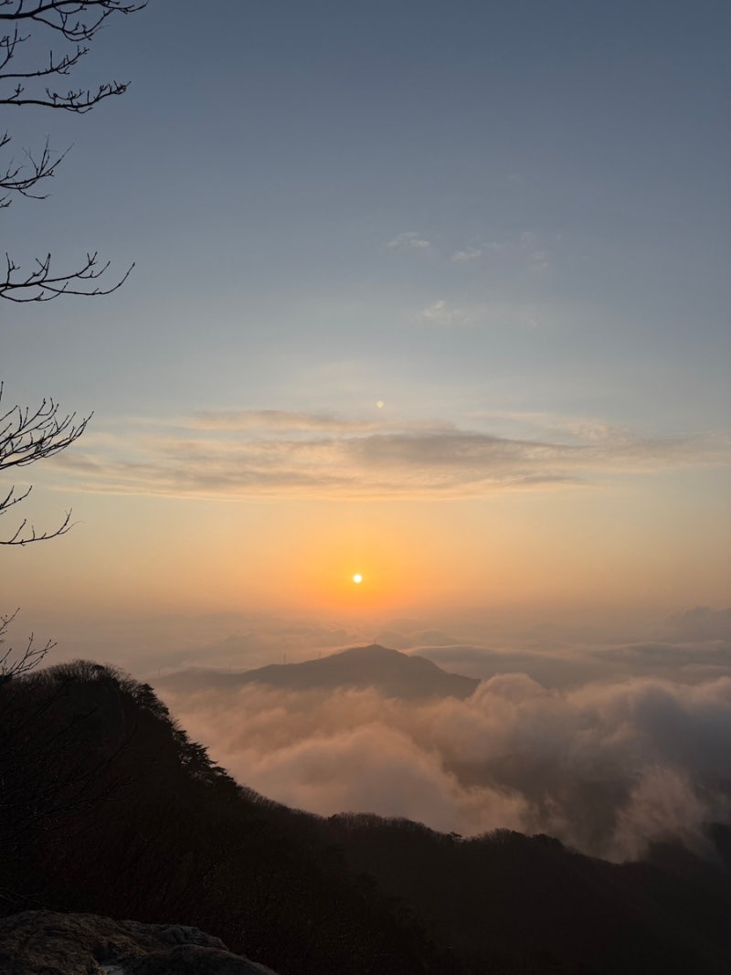 사진 7