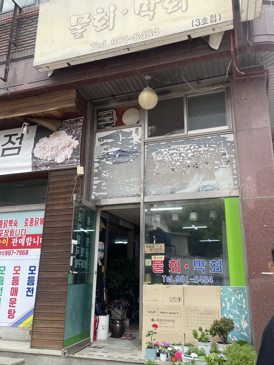 죽변물회막회 사진 4