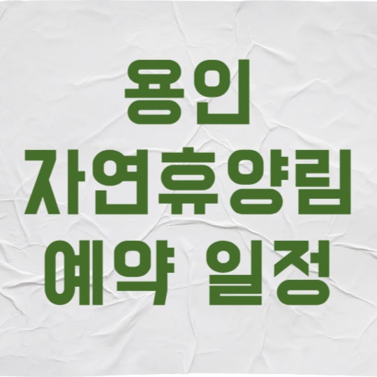 용인 자연휴양림 예약, 취준생이 직접 가본 100% 힐링 일정과 꿀팁 3가지