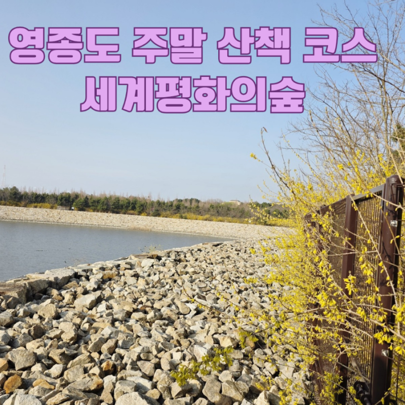 영종도세계평화의숲 주차 정보 포함 / 주말 가벼운 산책 코스 추천
