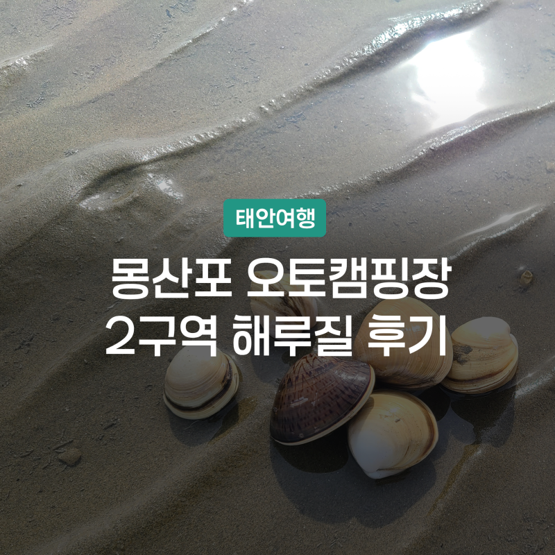 태안 몽산포 오토캠핑장 2구역 갯벌체험 해루질 시간 애견동반 여행지