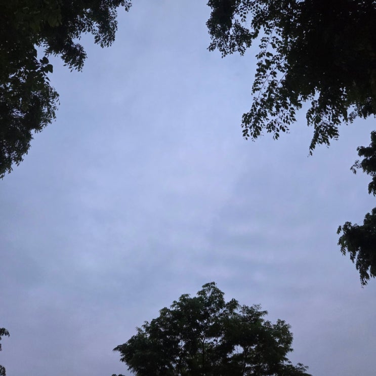  일상 오늘 봄 밤하늘  무보정 day_532