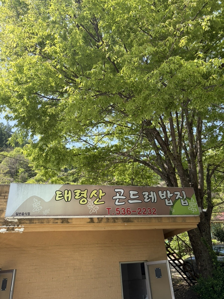 곤드레밥집 사진 1