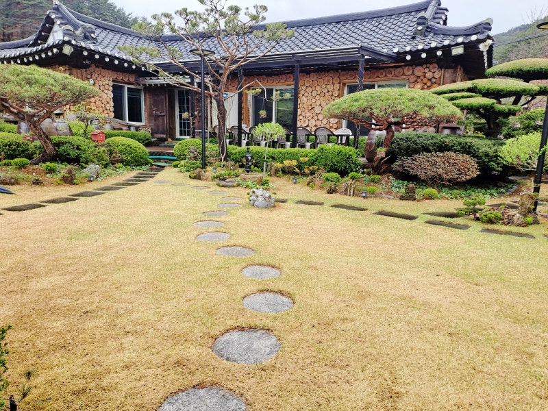 사진 3