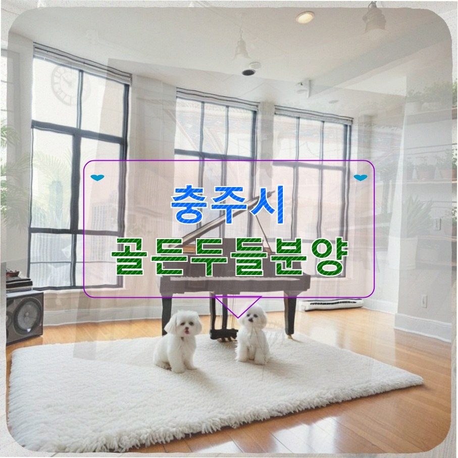 불독 사진 2
