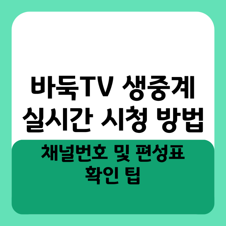  바둑TV 생중계 실시간 시청 방법과 채널번호 및 편성표 확인 팁