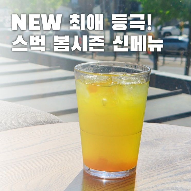  스타벅스 버즈 키위팝 에너지 피지오 맛 후기 영양정보 칼로리는?