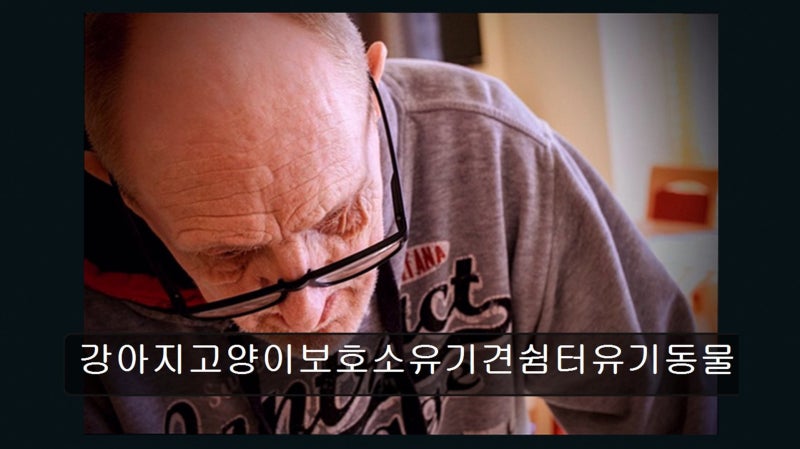 사진 3
