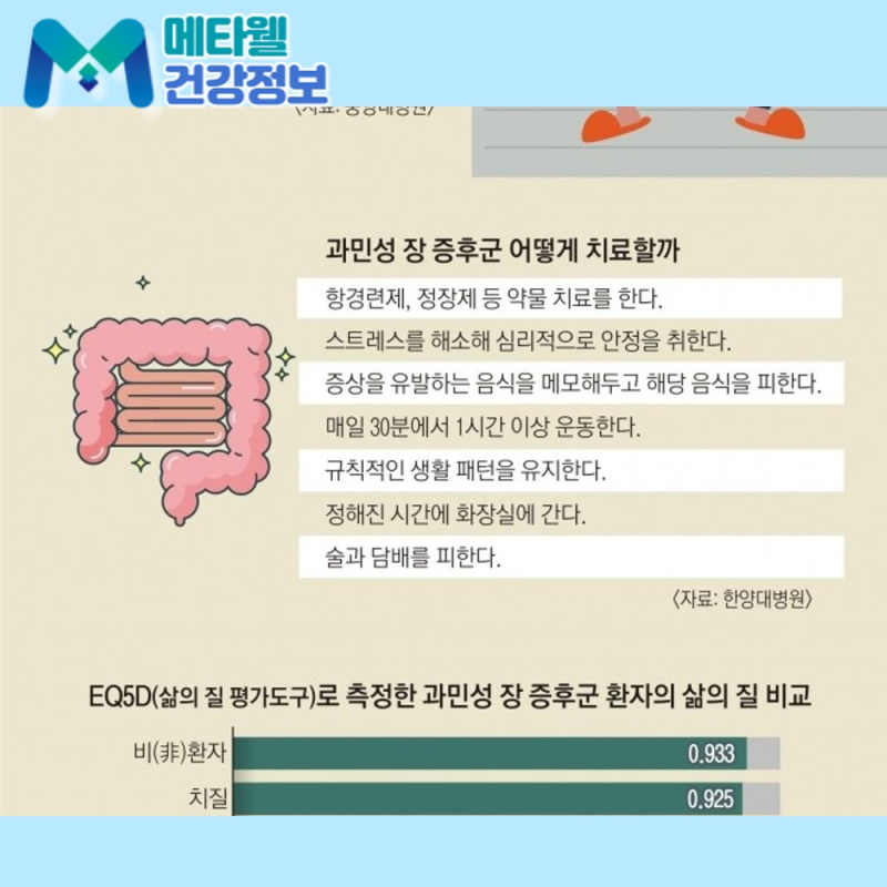 급성 장염 걸렸을 때 빨리 낫는법 5가지! 집에서 바로 실천하는 대처법