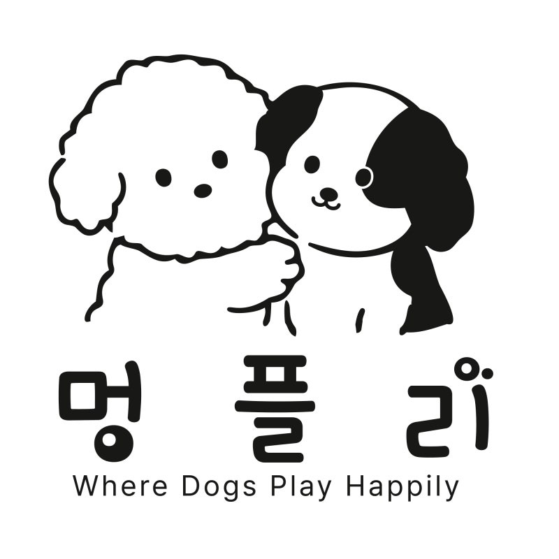 사진 4