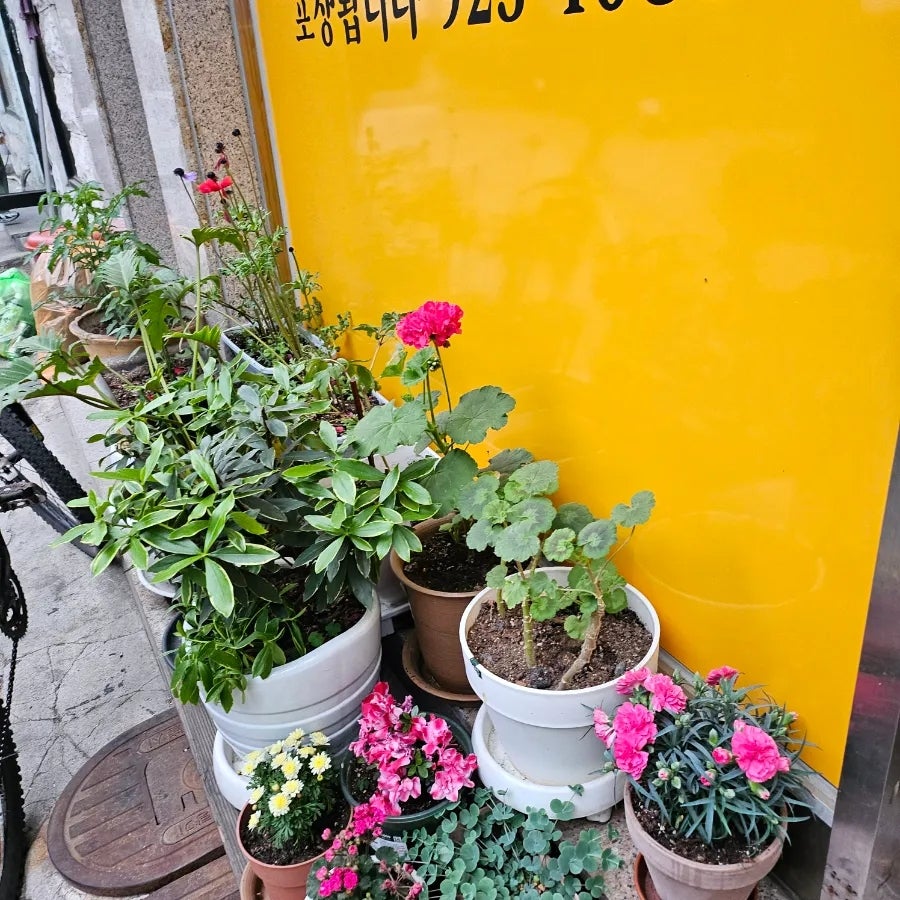 오거리감자탕홍어 사진 2