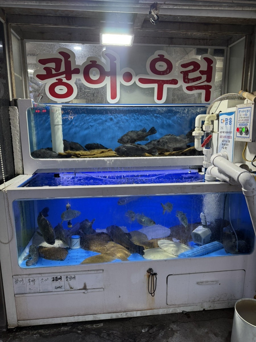 대박이회 사진 2
