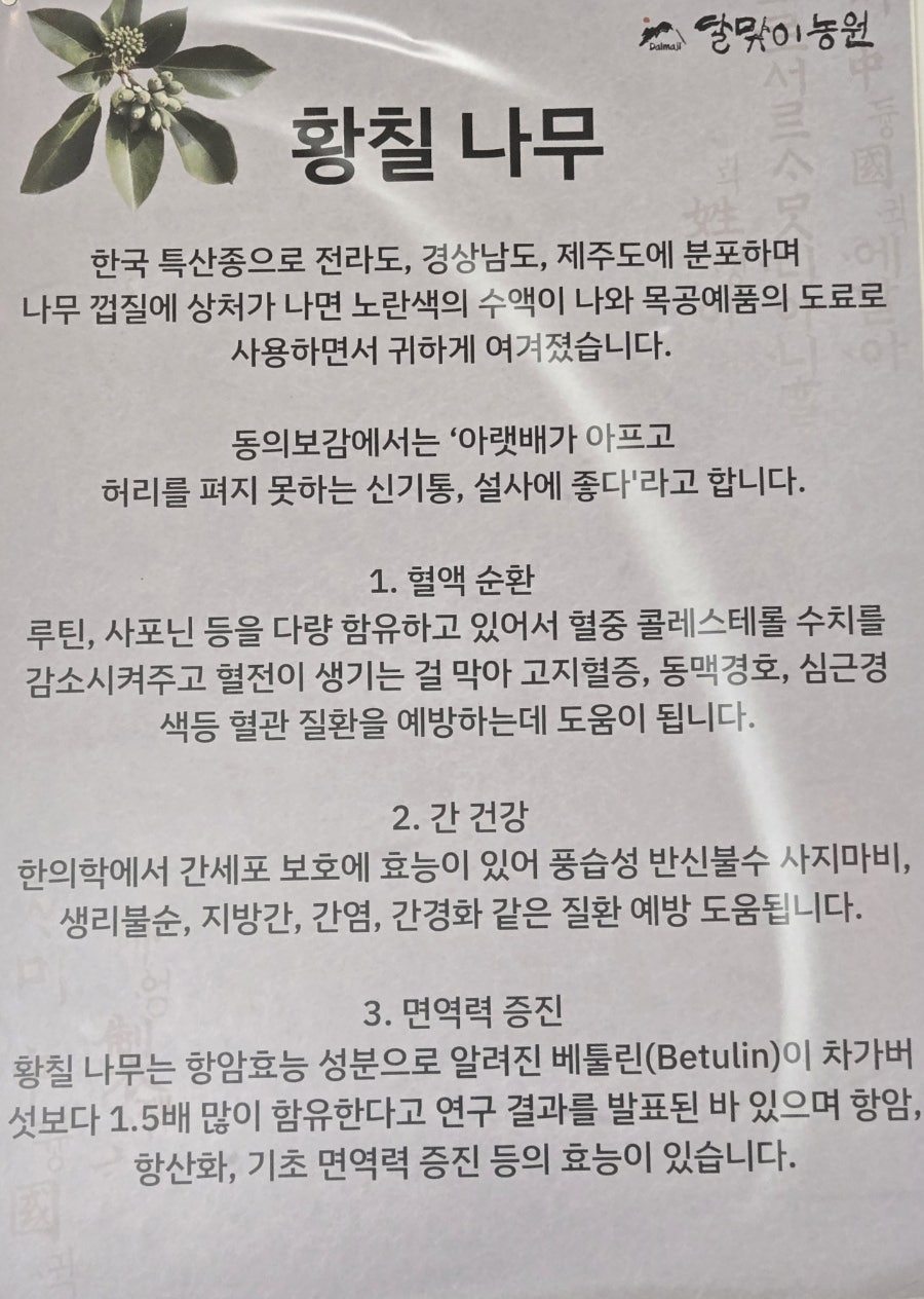 달맞이농원 사진 6
