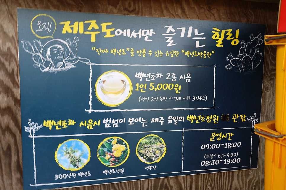백년초박물관 사진 5