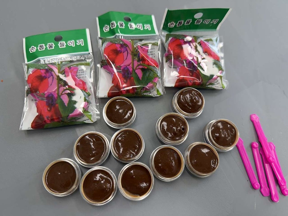 보령시데이케어센터 금빛사랑주야간보호센터 봉숭아물들이기 이미용서비스