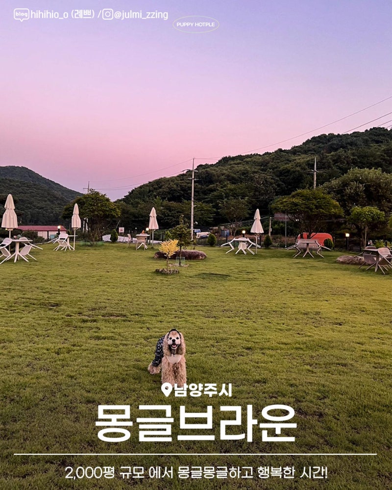 사진 3