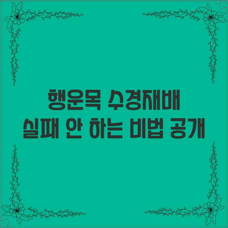 행운목 수경재배 방법 ｜초보자도 쉽게 따라하는 행운목 키우기