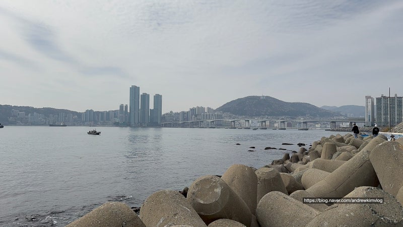 사진 6