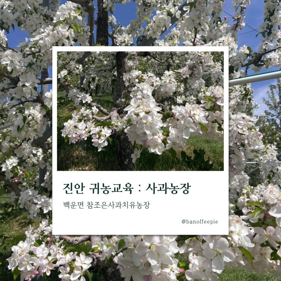 백운동순대 사진 1