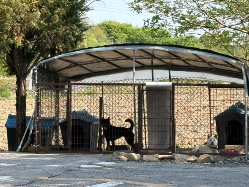 사진 5