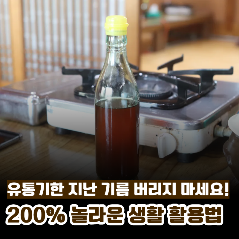 유통기한 지난 참기름 들기름 활용법, 버리기 아까운 기름 200% 재활용 꿀팁