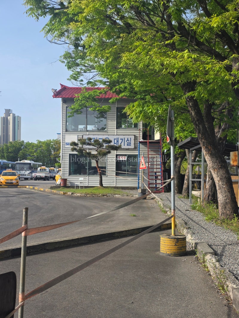 춘천 2종보통 기능시험 2회차 때 합격한 후기