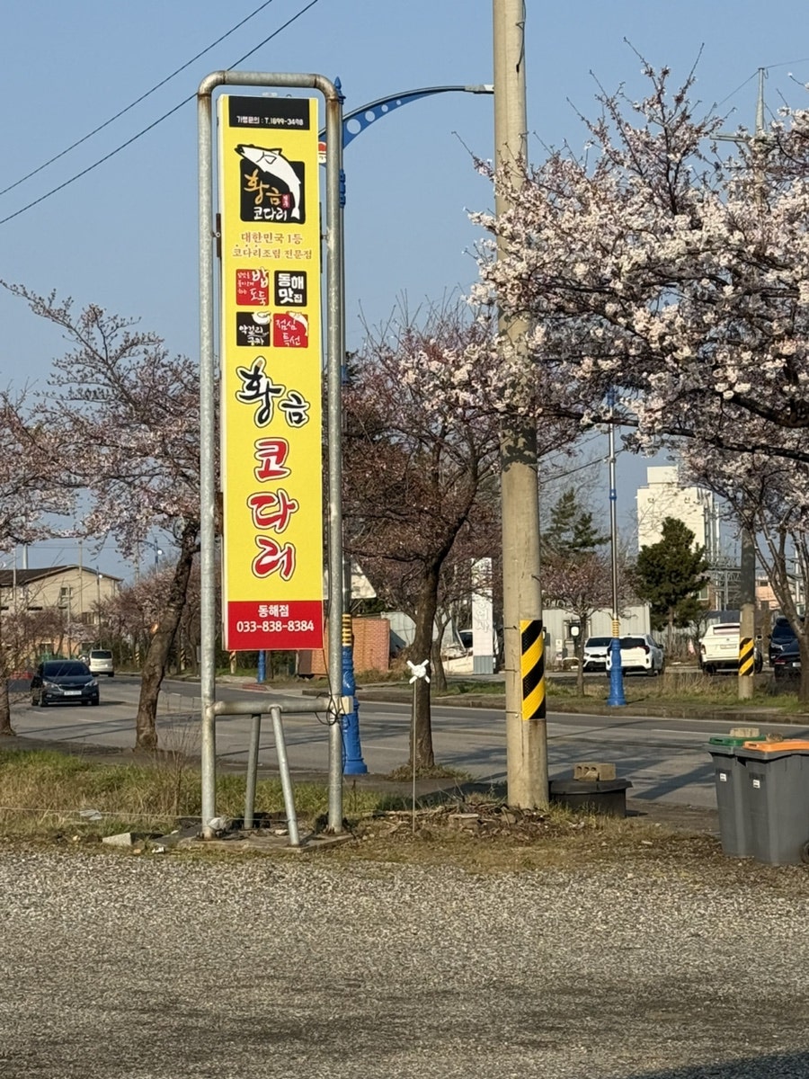황금코다리 동해점 사진 4