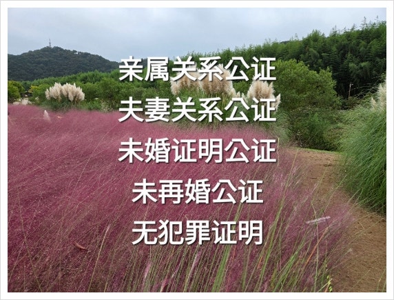  친속관계공증(亲属关系公证）/ 의료보험 피부양자 등록
