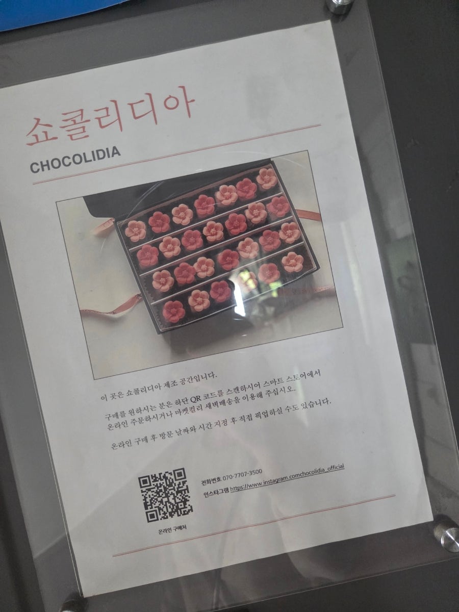 쇼콜리디아 사진 3