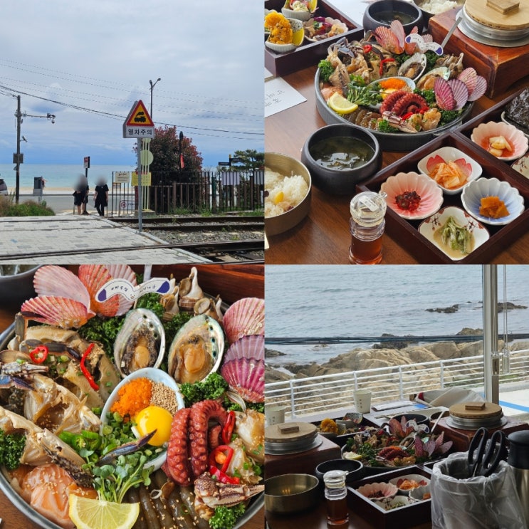  부산 송정 현지인 맛집 미포집 미녀해물장