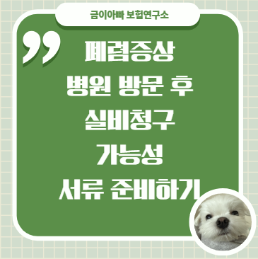 폐렴증상, 병원 방문 후 실비청구 가능성과 서류 준비하기