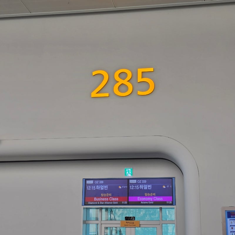 ✈️ [인천 → 하얼빈] 아시아나항공 OZ339 탑승기 /하얼빈 입국심사 후기_26.05.01