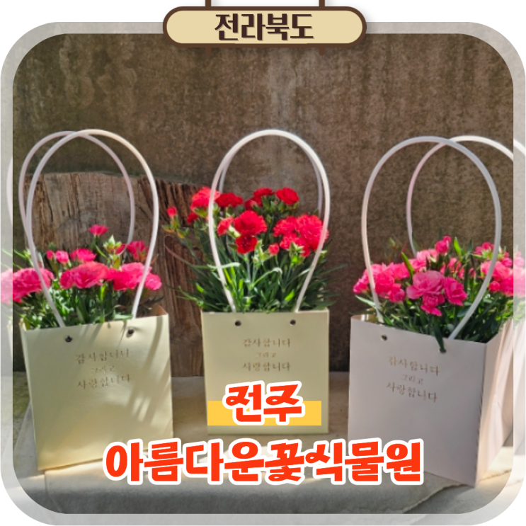  전주 에코시티 꽃집 송천동 화원 꽃다발 카네이션 아름다운꽃식물원