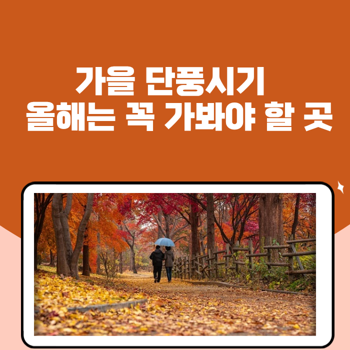 2023년 가을 단풍시기 및 올해는 꼭 가봐야 할 가야산 내장산 덕유산 탐방로 확인 체크