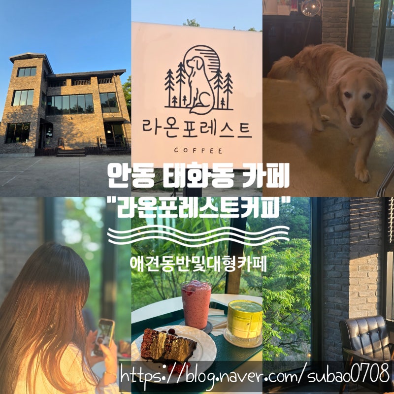 사진 6